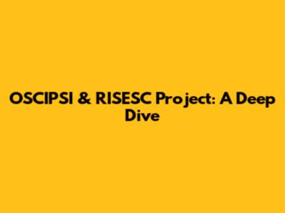 OSCIPSI & RISESC Project: A Deep Dive